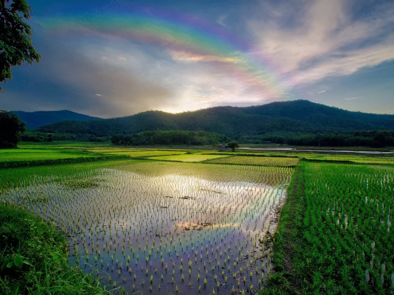 природа, красота