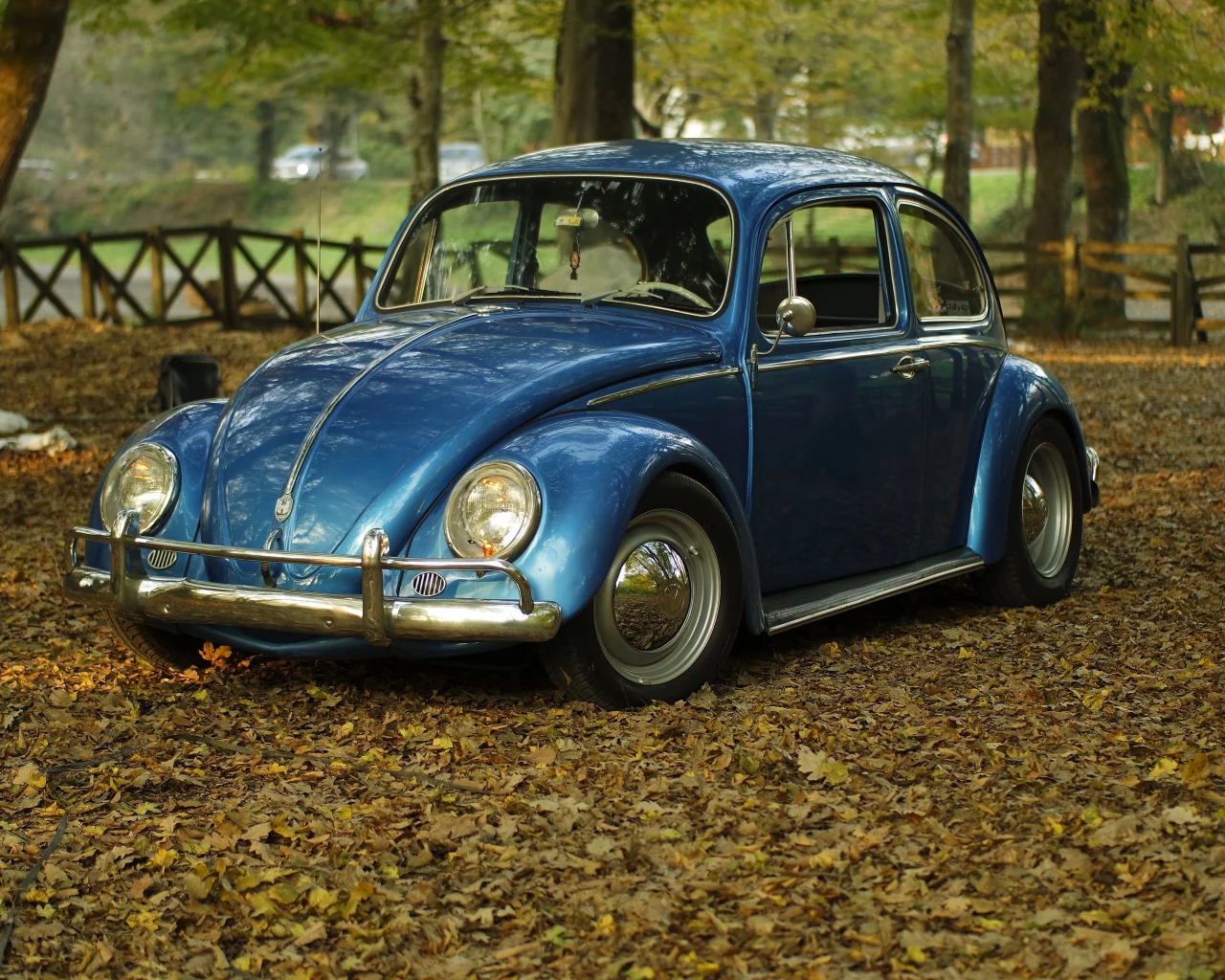 автомобиль, фольксваген, жук, car, volkswagen, beetle, front, blue, park, autumn, path, classic, leaves, oldtimer, light, see, nice, wide
