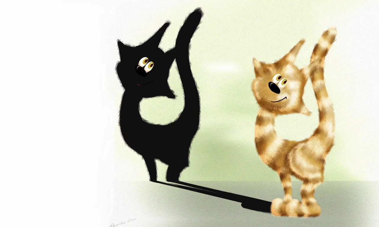 взгляд, когти, лапа, кот, котэ