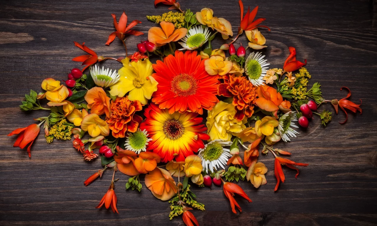 осень, wood, листья, композиция, autumn, leaves, floral, flowers, цветы