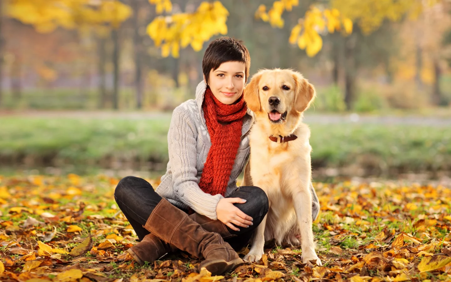 друзья, девушка, собака, ретривер, осень, gilrl, dog, golden, retriever, friends, autumn, color, leaves, daylight, yellow, green, nature, see, nice, smile, wide