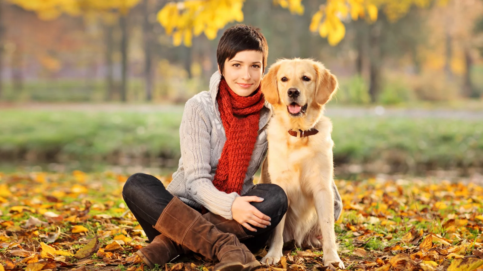 друзья, девушка, собака, ретривер, осень, gilrl, dog, golden, retriever, friends, autumn, color, leaves, daylight, yellow, green, nature, see, nice, smile, wide