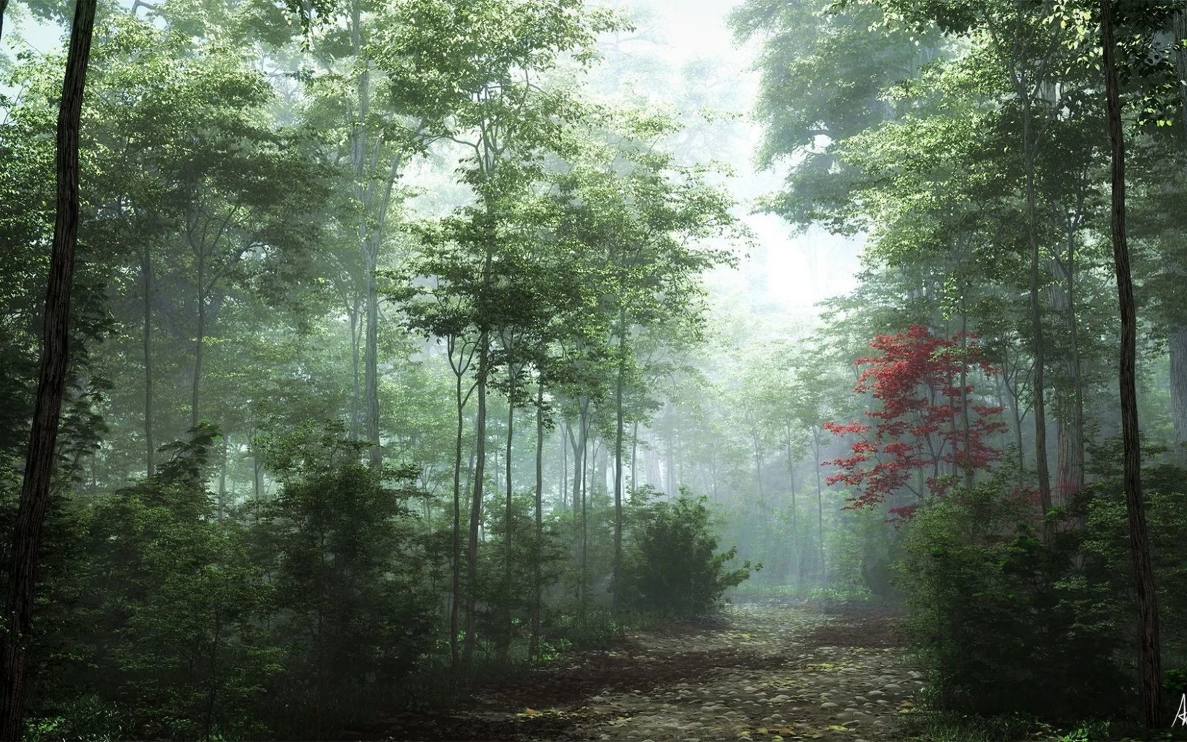 тропинка, лес, туман, path, forest, fog, park, nature, trees, foggy, grass, landscapes, see, sun, dark, nice, wide