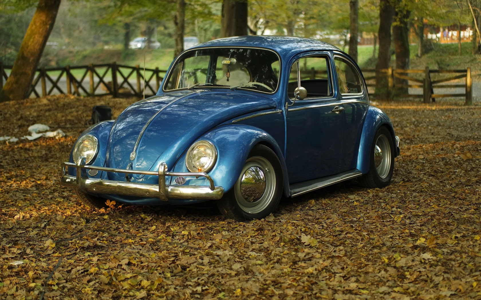 автомобиль, фольксваген, жук, car, volkswagen, beetle, front, blue, park, autumn, path, classic, leaves, oldtimer, light, see, nice, wide