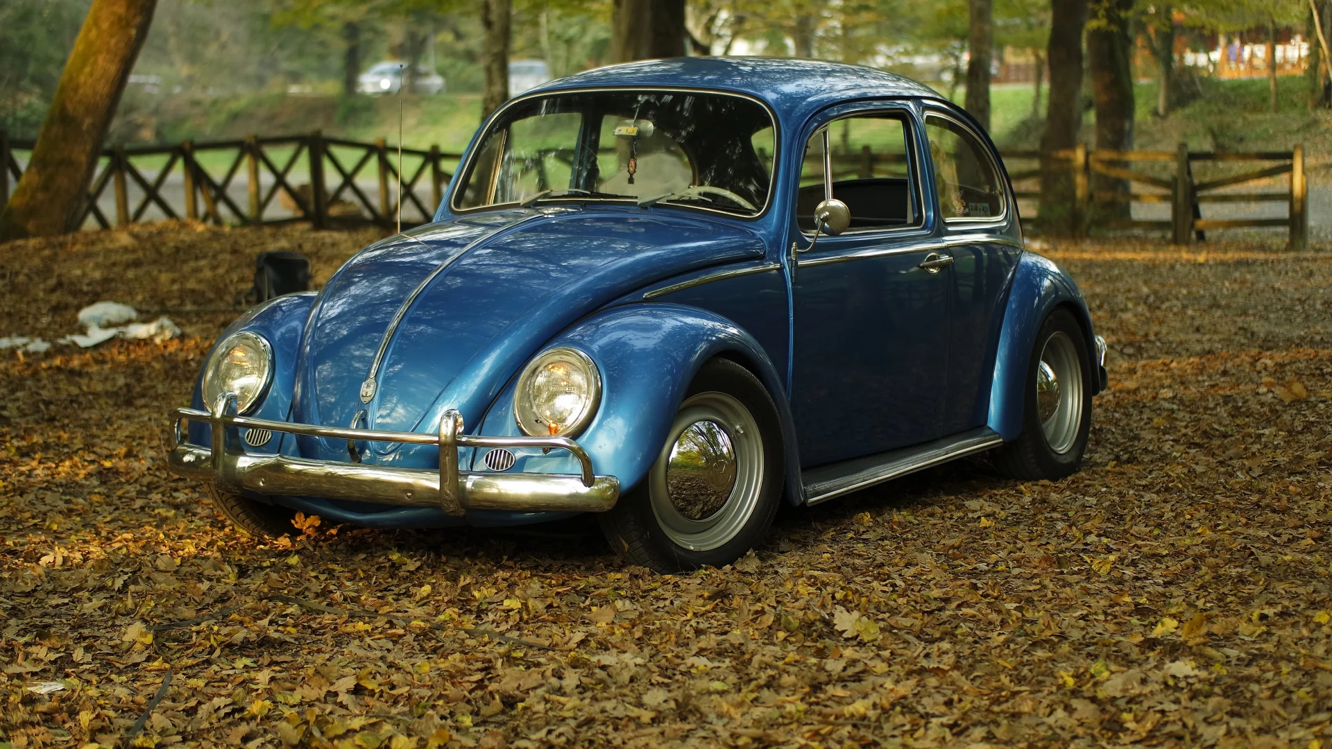 автомобиль, фольксваген, жук, car, volkswagen, beetle, front, blue, park, autumn, path, classic, leaves, oldtimer, light, see, nice, wide