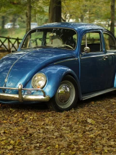 автомобиль, фольксваген, жук, car, volkswagen, beetle, front, blue, park, autumn, path, classic, leaves, oldtimer, light, see, nice, wide