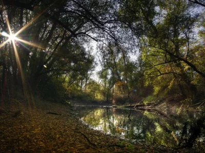 природа, красота