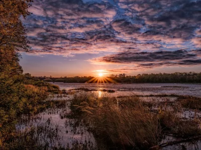 природа, красота