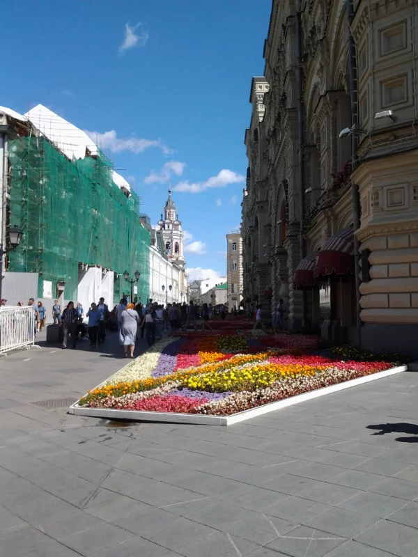 цветы, гум