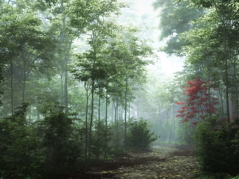 тропинка, лес, туман, path, forest, fog, park, nature, trees, foggy, grass, landscapes, see, sun, dark, nice, wide