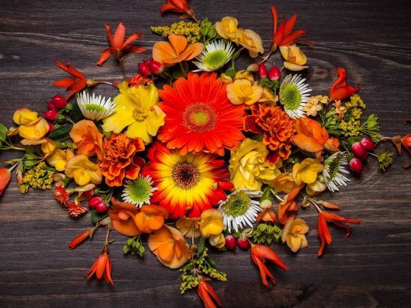 осень, wood, листья, композиция, autumn, leaves, floral, flowers, цветы