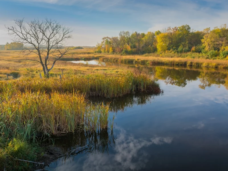 природа, красота