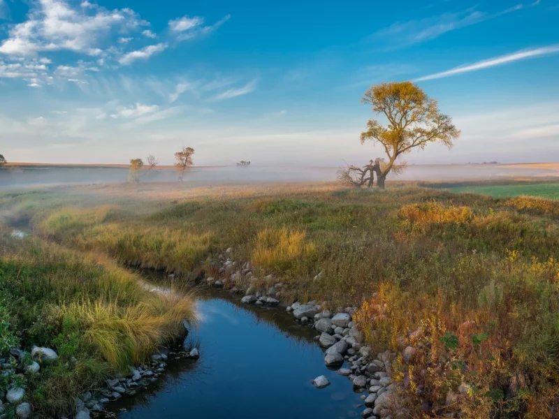 природа, красота