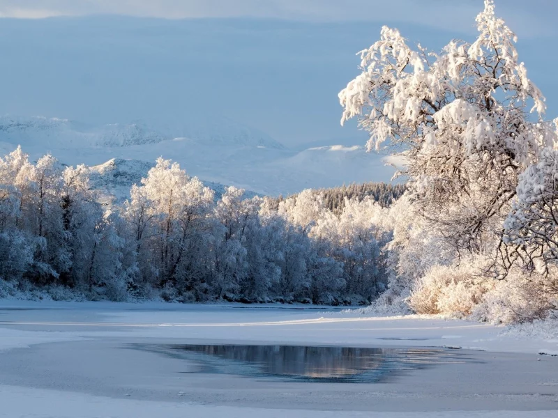 природа, красота