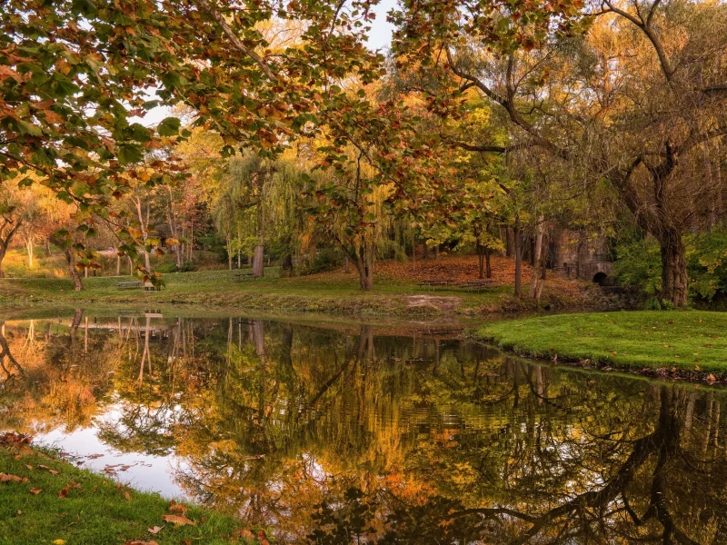 природа, красота