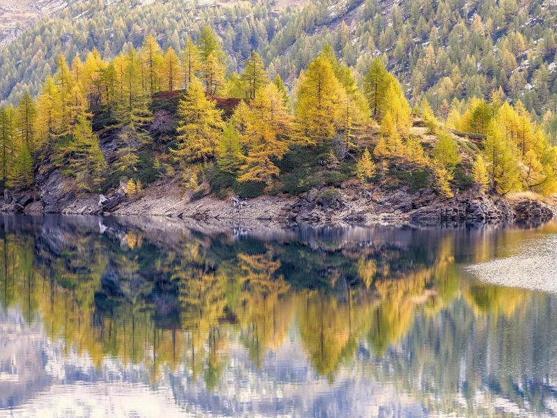 природа, красота