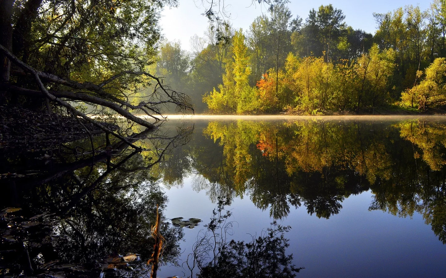 природа озеро, деревья, лето