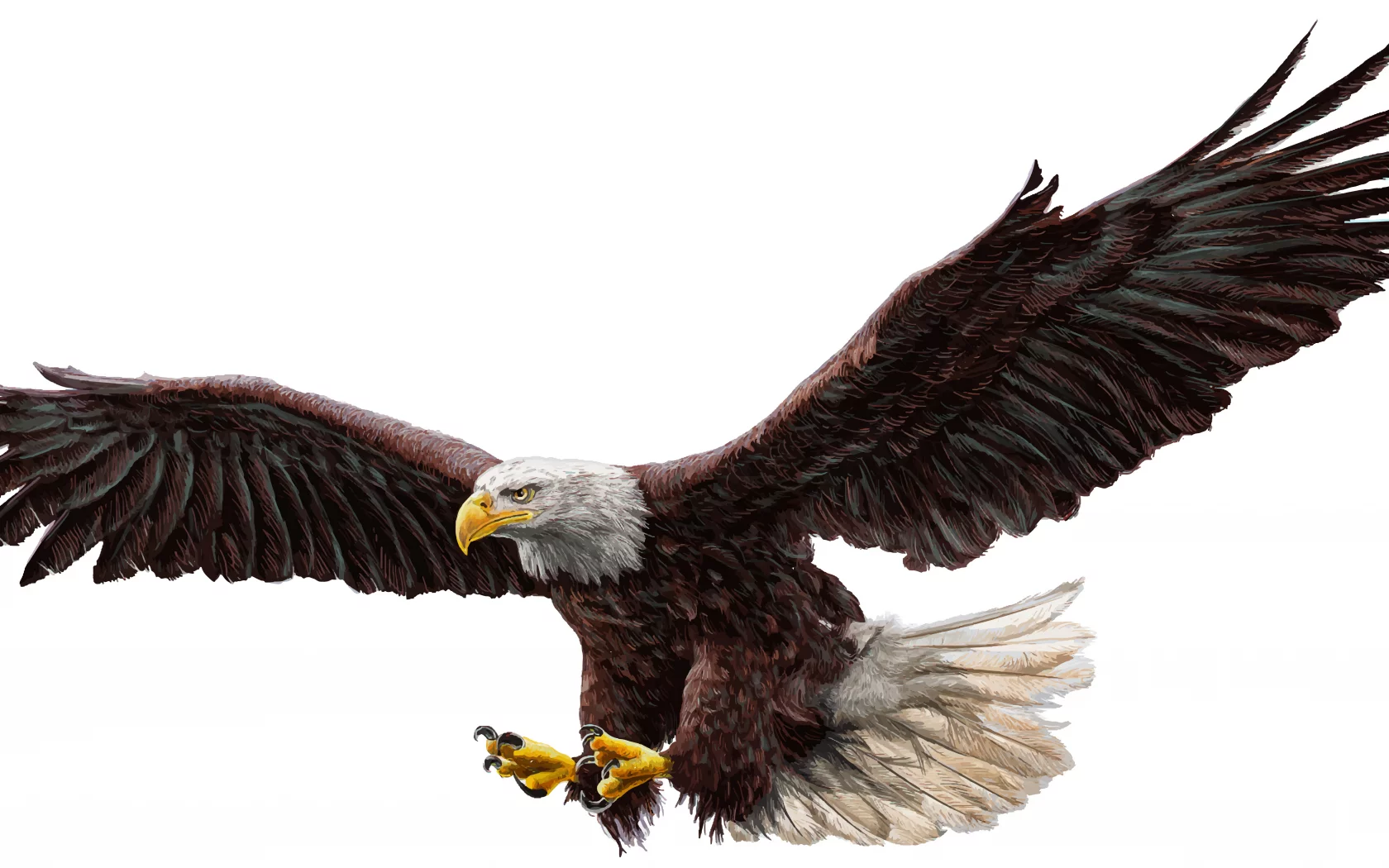орел, крылья, полет, bald eagle, real