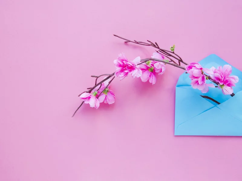 весна, розовые, blossom, pink, letter, конверт, фон, ветка, spring, flowers, цветы