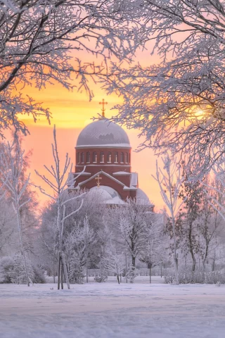 рассвет, храм, деревья, зима, снег, утро
