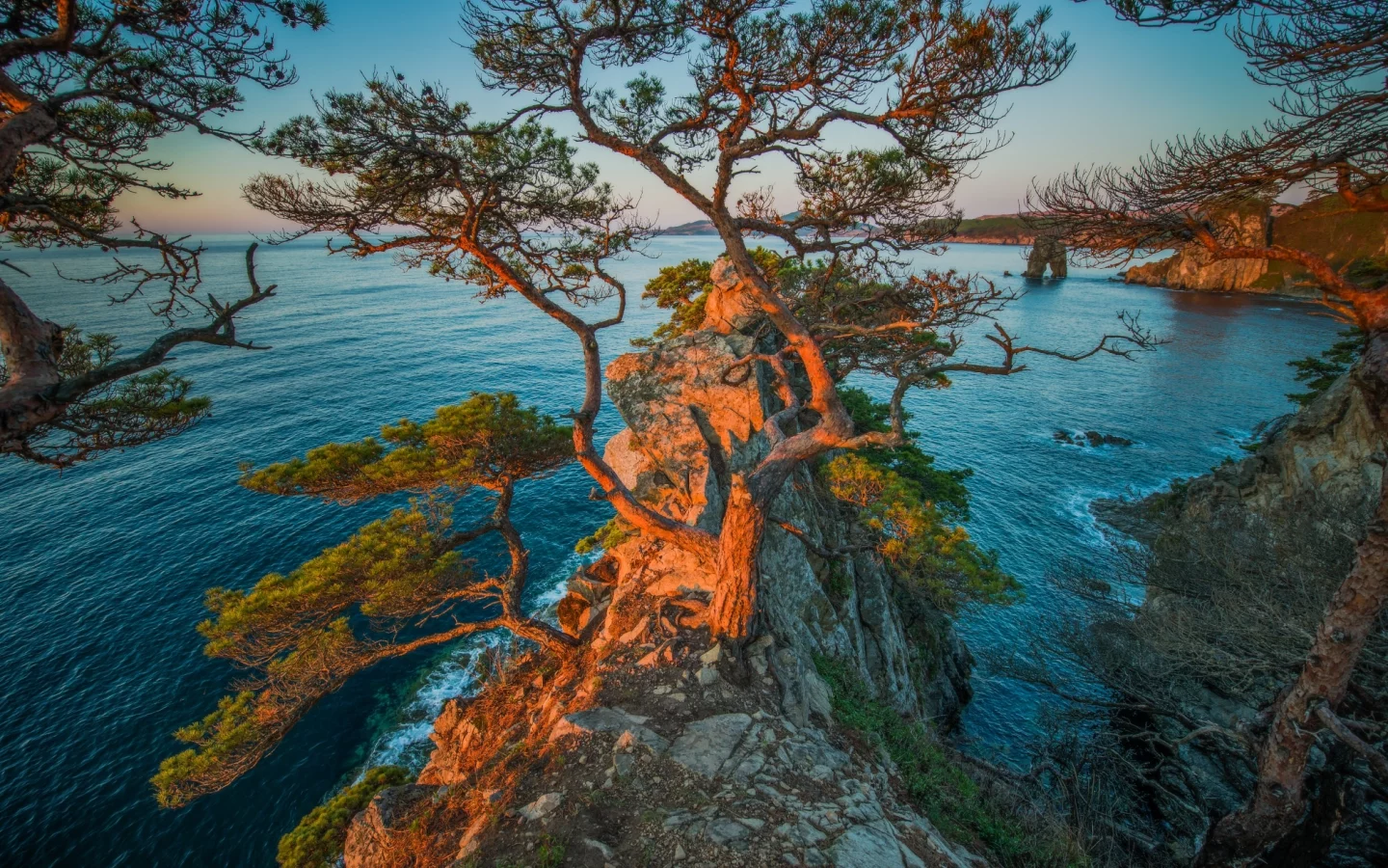 скалы, рассвет, море, россия, побережье, деревья, сосны, приморский край, утро