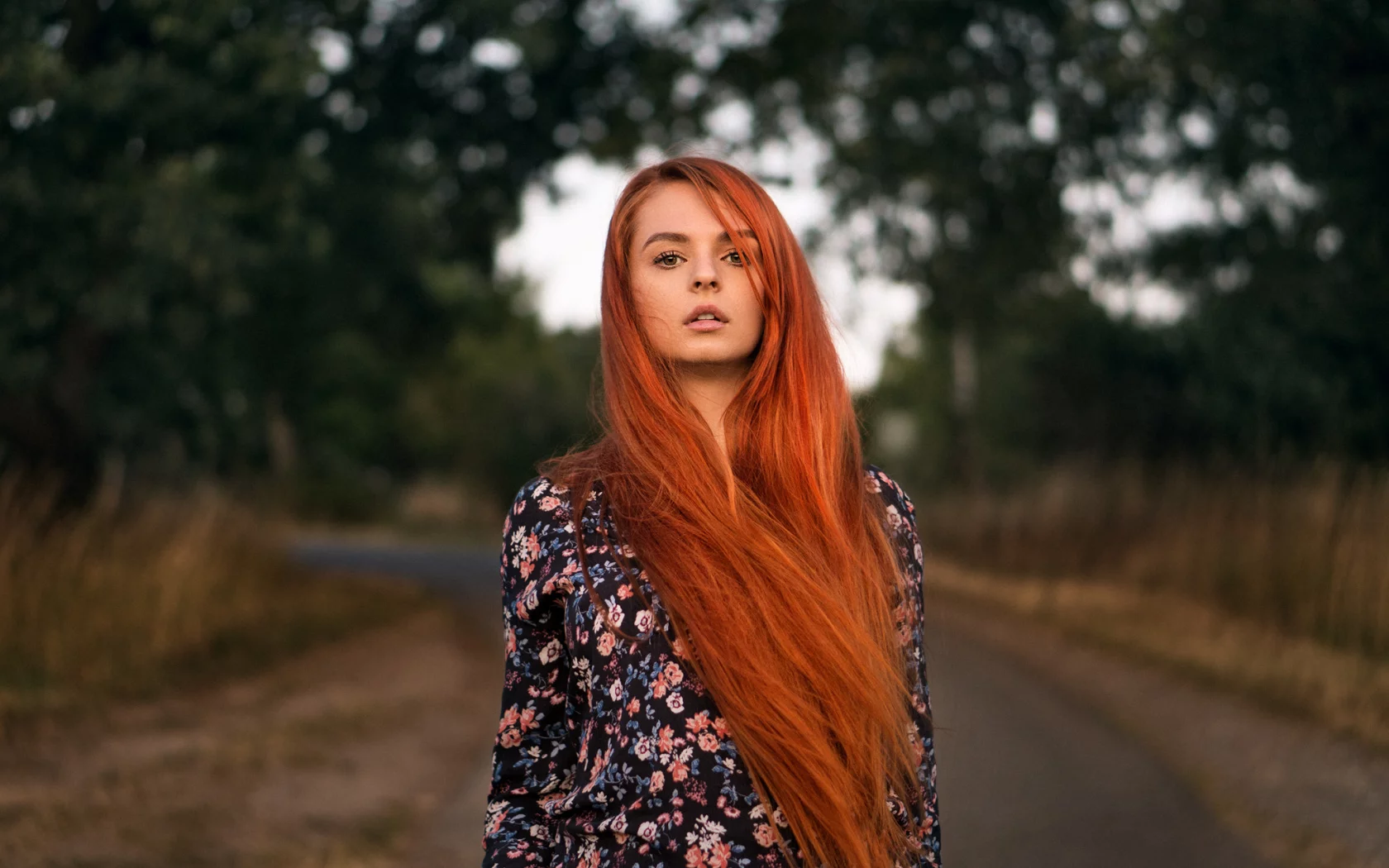 девушка, модель, стройная, милая, милашка, красивая