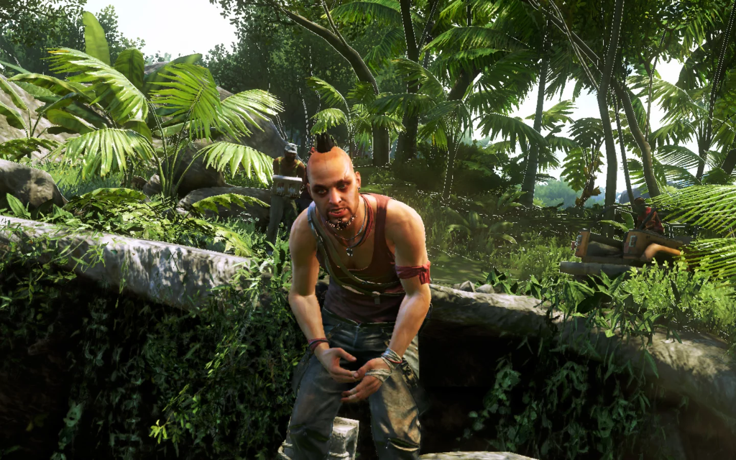 far cry 3, вас монтенегро, природа, разговор, пистолет