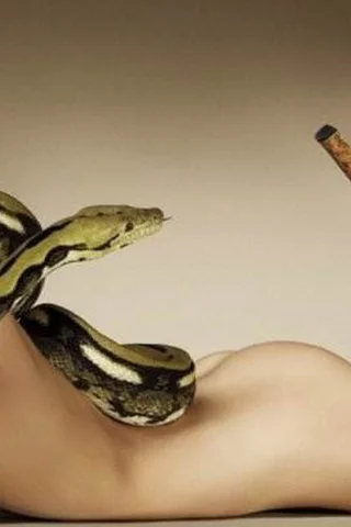 девушка, грудь, ножки, девушка и змея, шикарная фигура, брюнетка