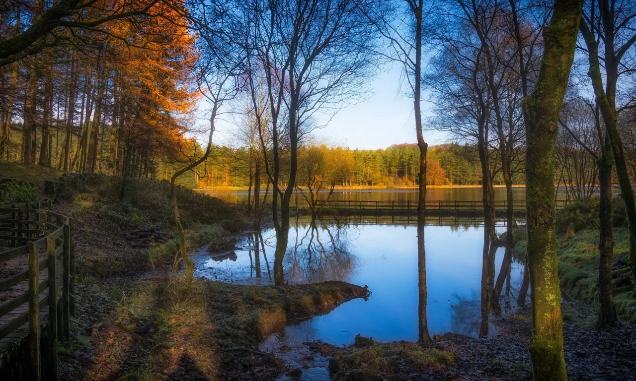 природа, красота, пейзаж