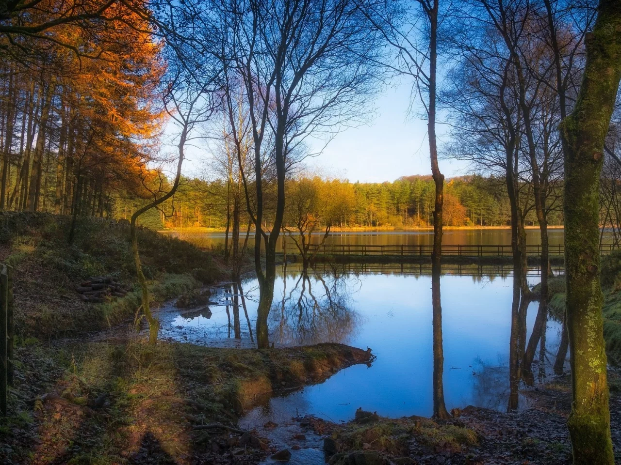 природа, красота, пейзаж