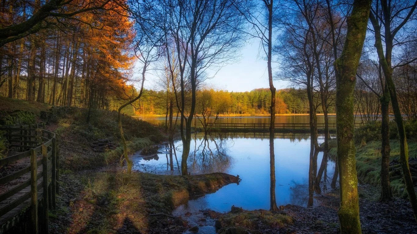 природа, красота, пейзаж