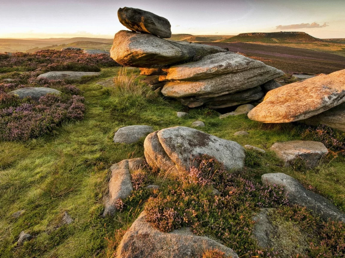 камни, трава, небо
