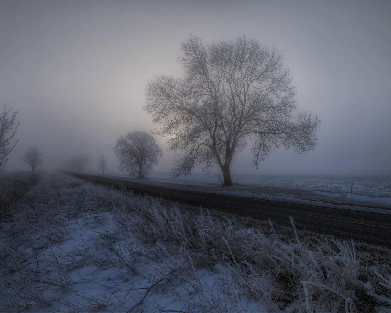пейзаж, природа