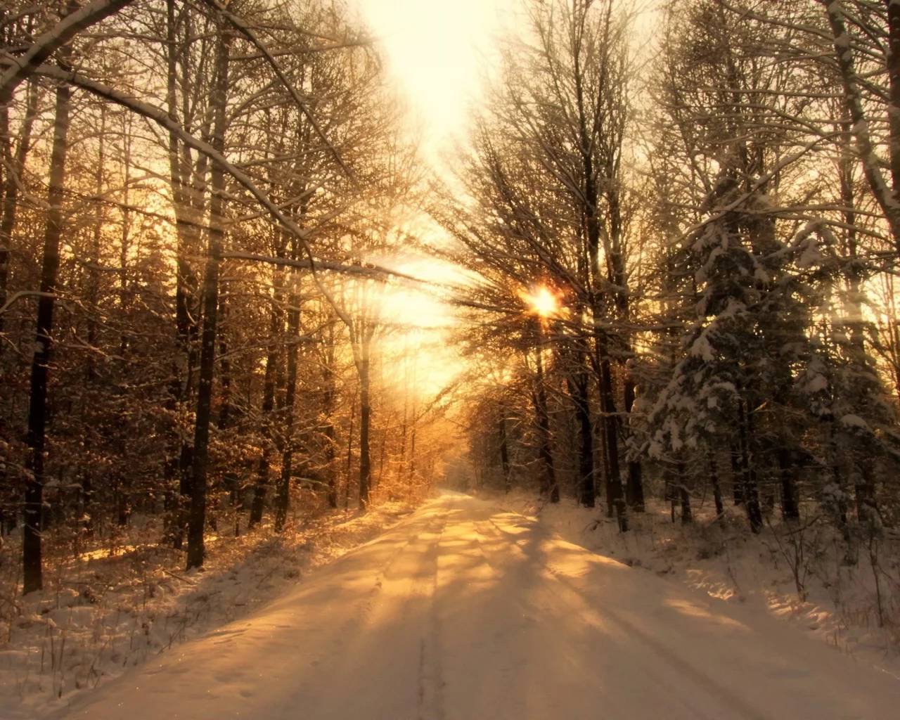 пейзаж, природа
