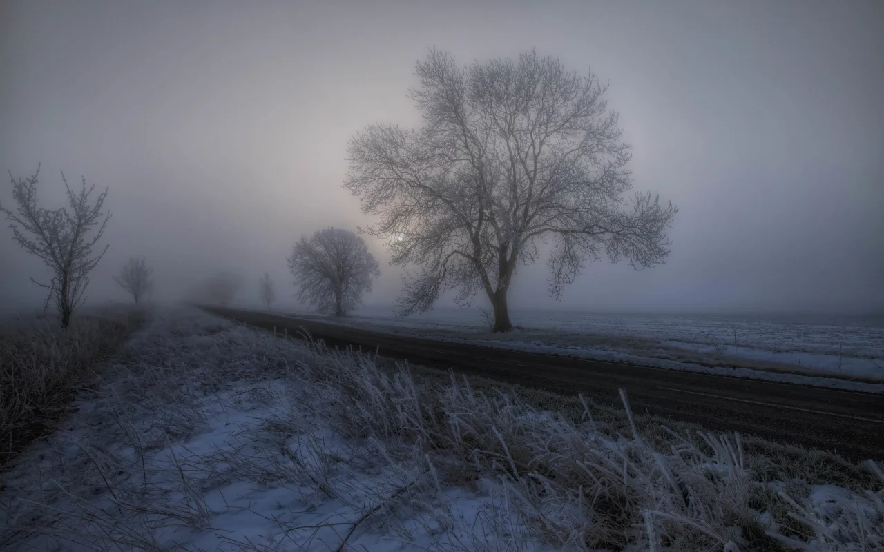 пейзаж, природа