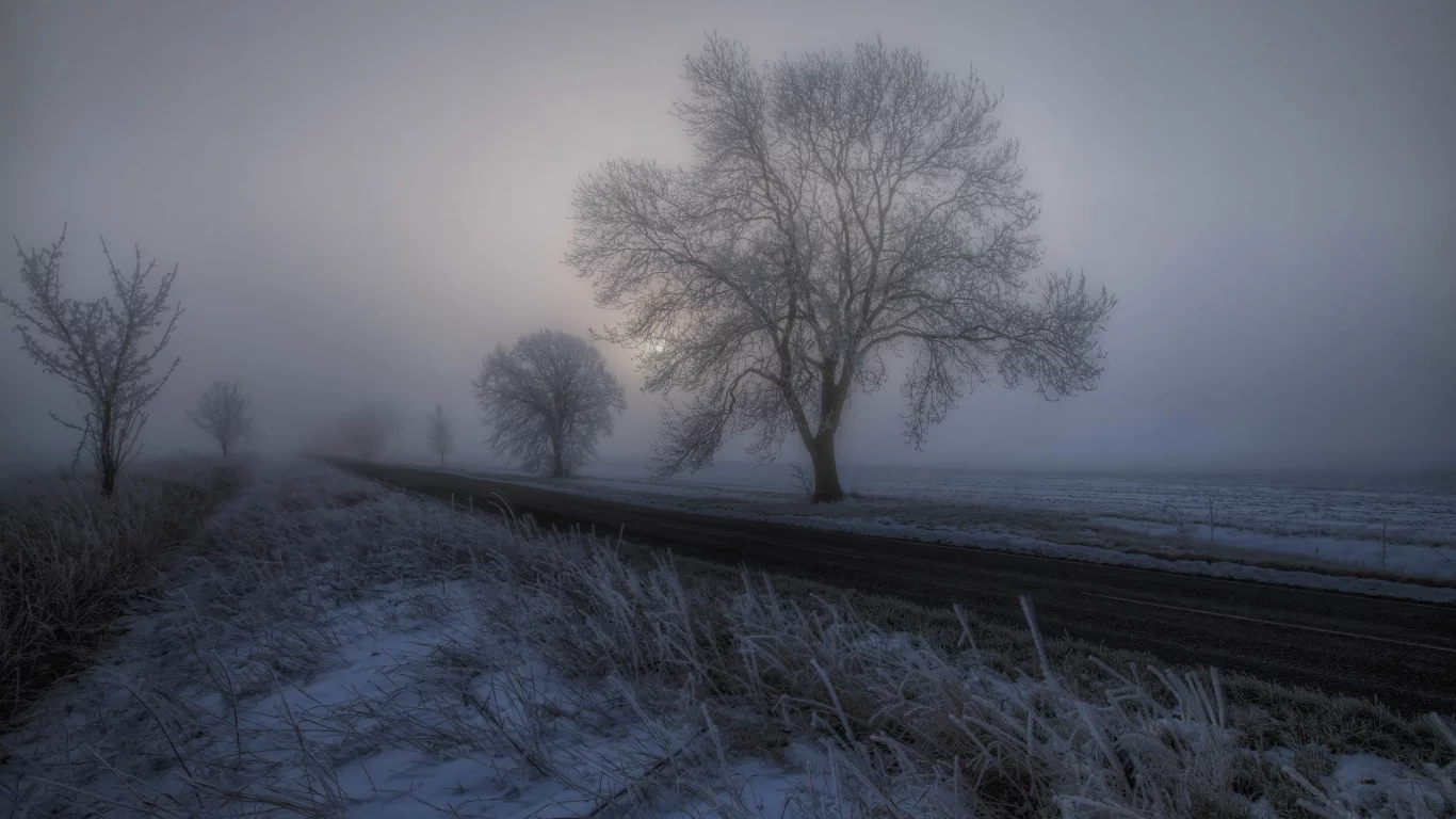 пейзаж, природа