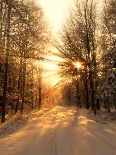 пейзаж, природа