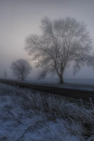пейзаж, природа