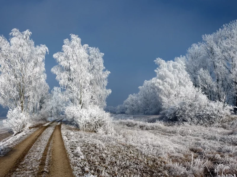 зима, снег