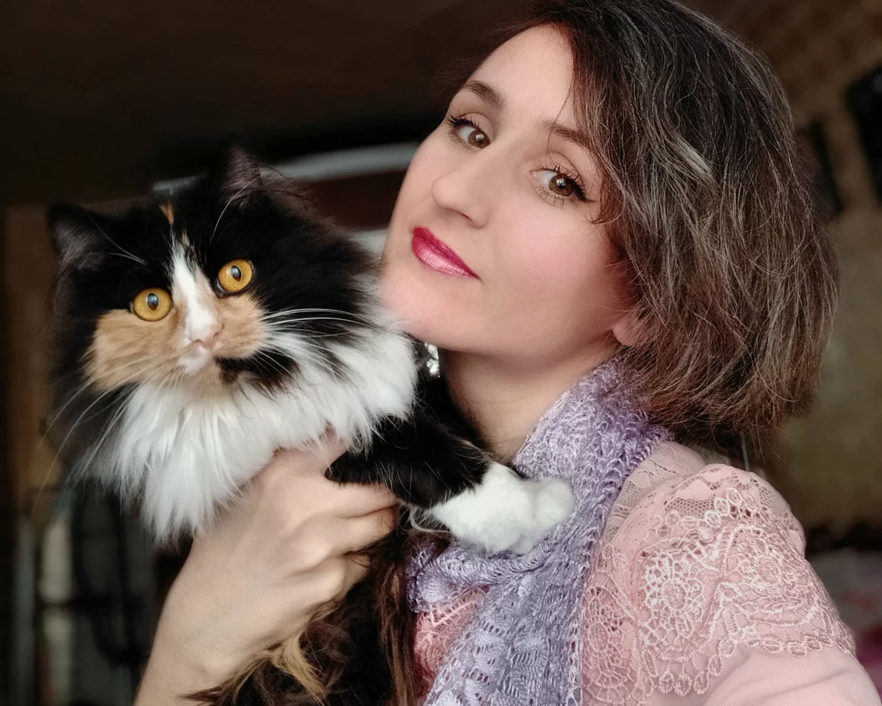 модель, брюнетка, позирует, с кошкой
