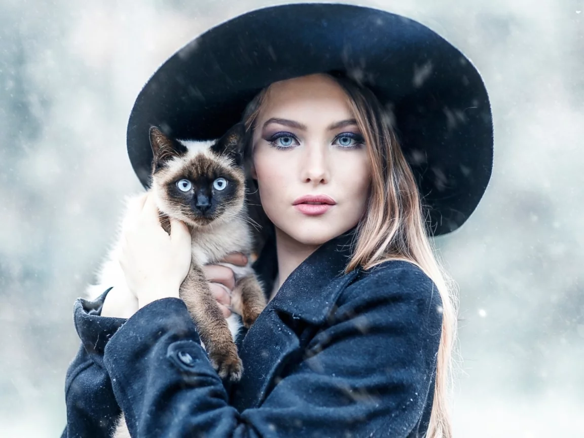 девушка, блондинка, взгляд, позирует, с кошкой