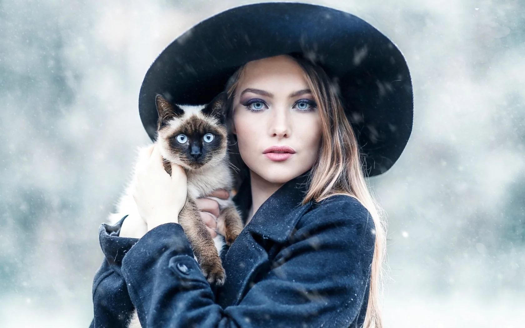 девушка, блондинка, взгляд, позирует, с кошкой
