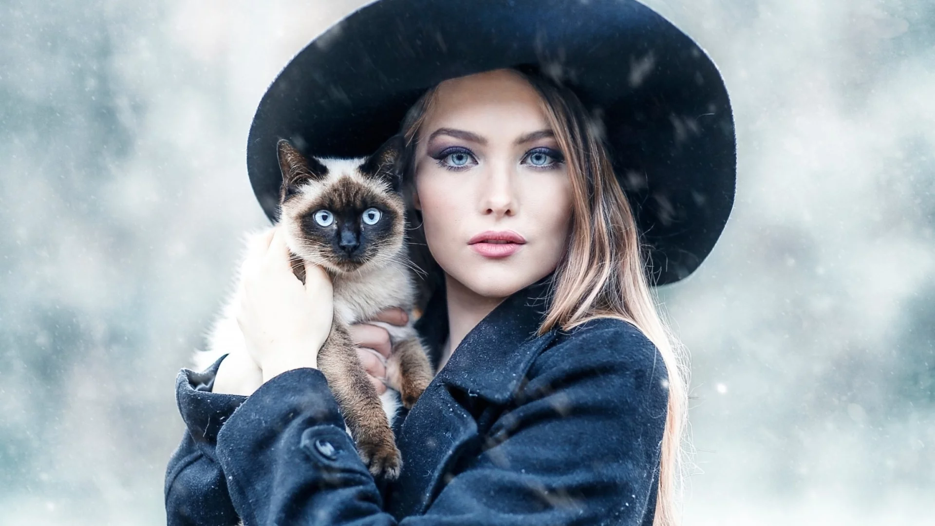 девушка, блондинка, взгляд, позирует, с кошкой