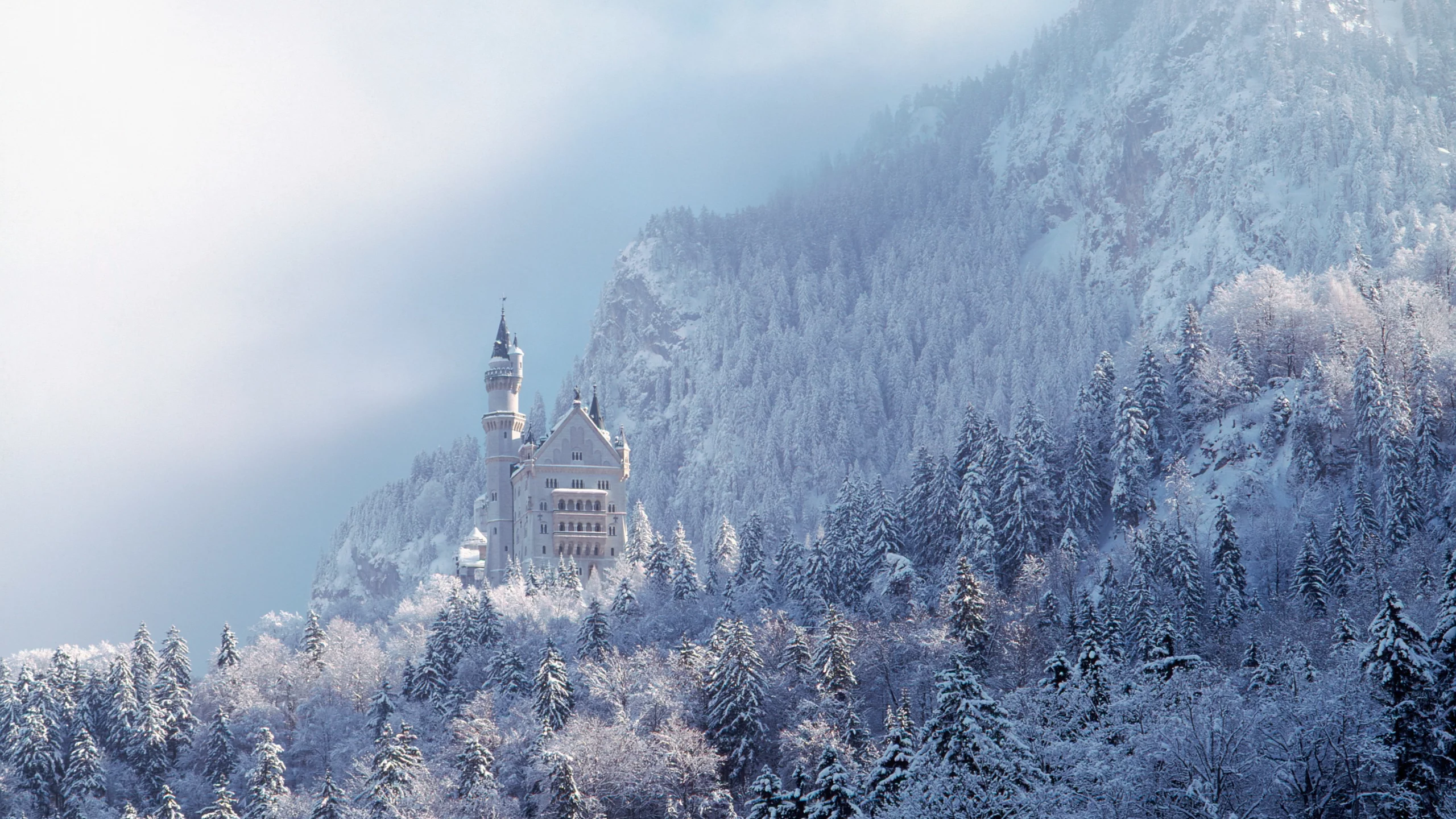 замок, нойшванштайн, бавария, германия, schloss, neuschwanstein, лес, небо, пейзаж, архитектура, зима, горы