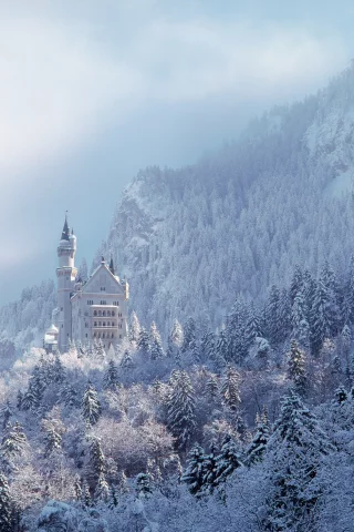 замок, нойшванштайн, бавария, германия, schloss, neuschwanstein, лес, небо, пейзаж, архитектура, зима, горы
