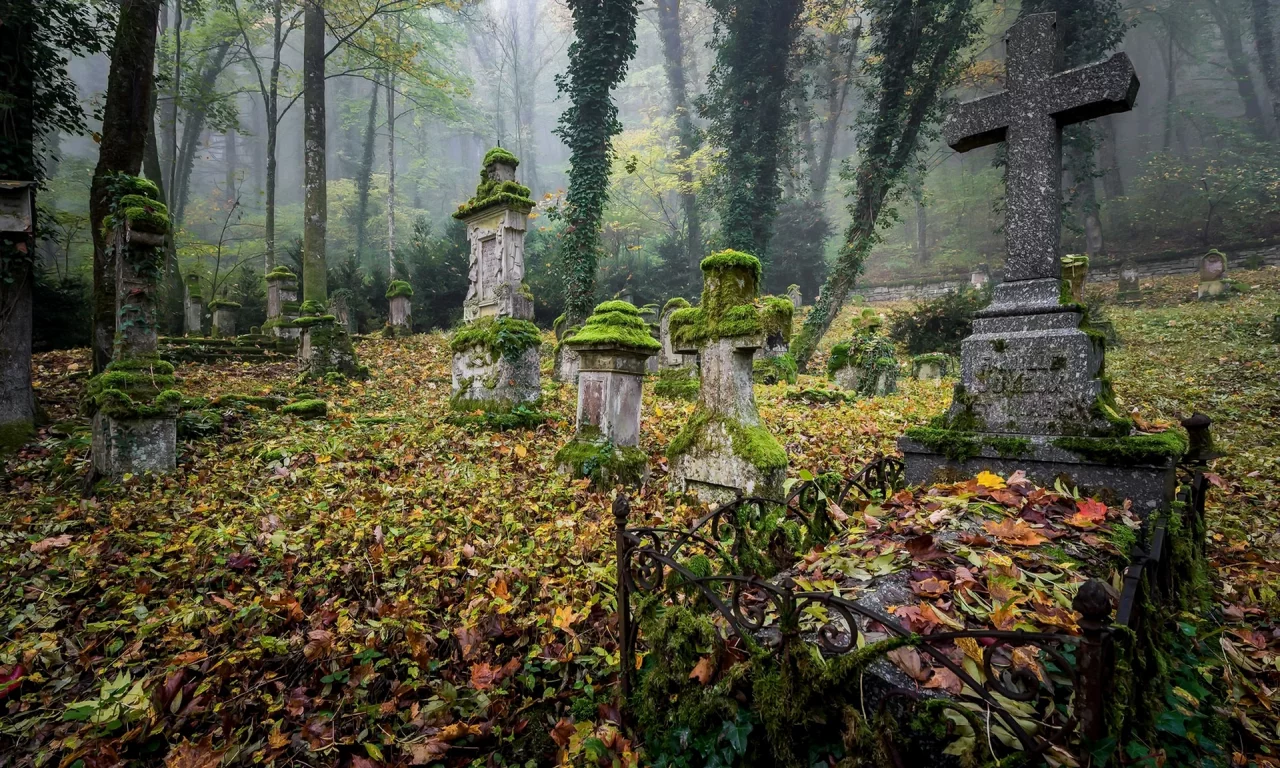 кладбище, листья