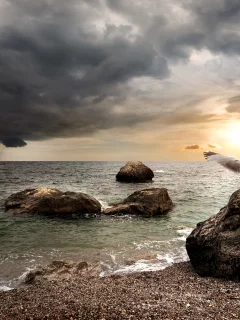 чайка, море, камни