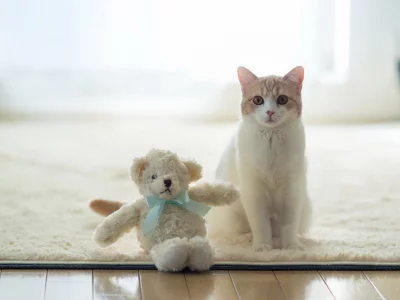 кошка, плюшевая игрушка