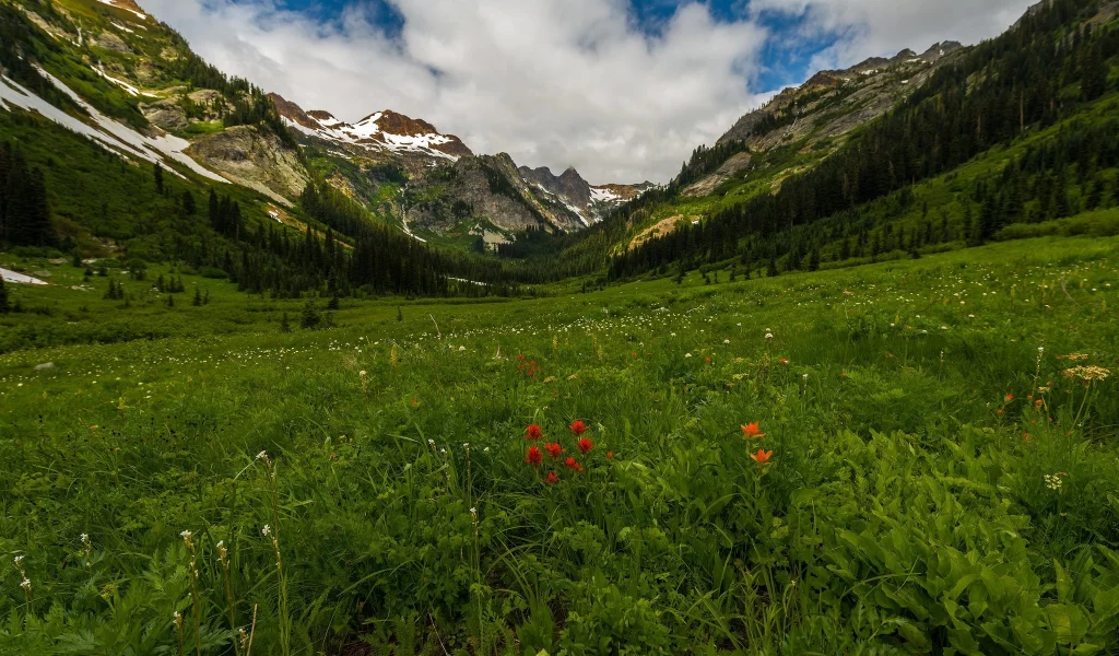 пейзаж, природа, красота