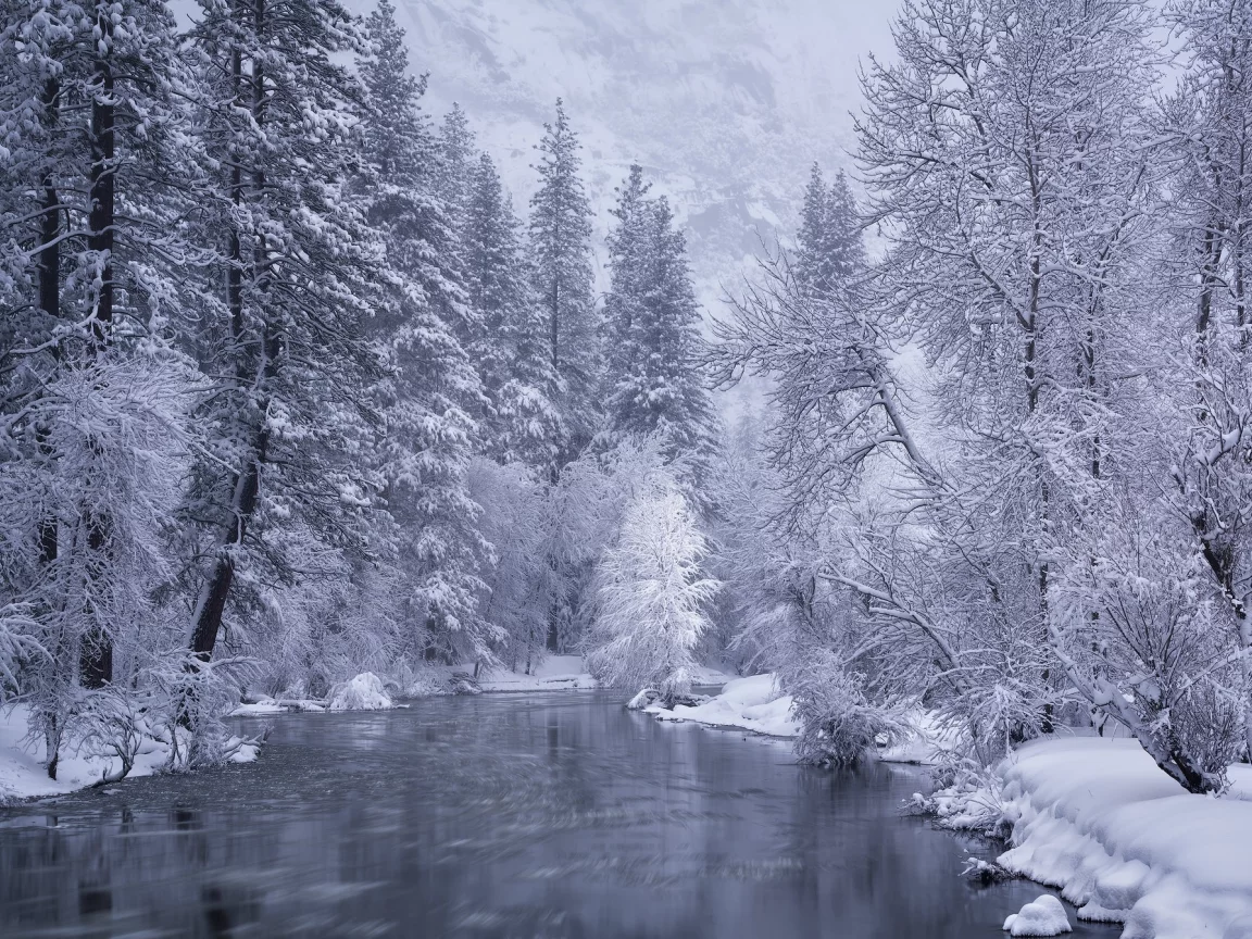 пейзаж, природа, красота